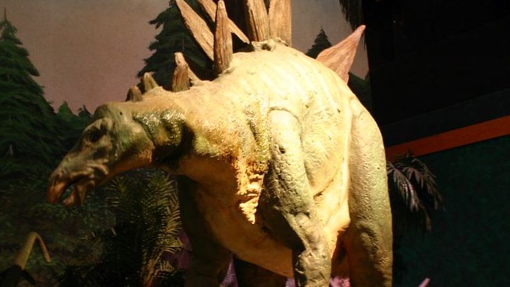 8 Dinosaurs With Incredible Defense Mechanisms