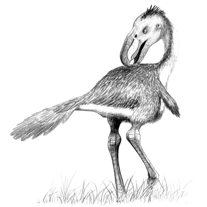 Terror Birds - The Nightmare Predators of South America (Image Credits: Wikimedia)