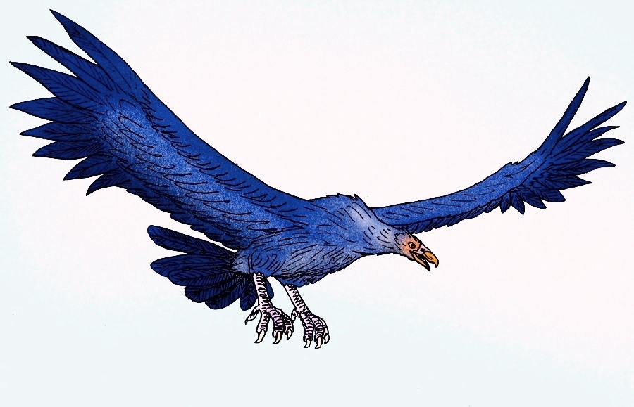 Argentavis Magnificens - The Flying Titan (Image Credits: Wikimedia)
