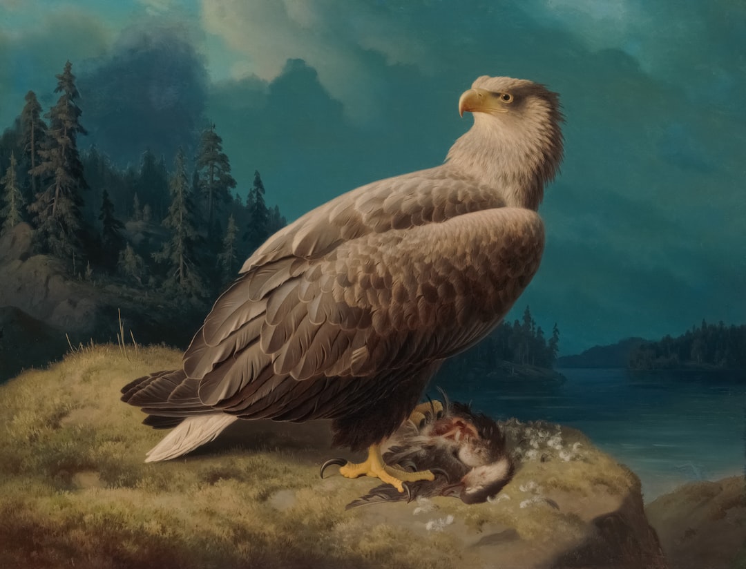 Haast's Eagle - The Moa Slayer (Image Credits: Unsplash)