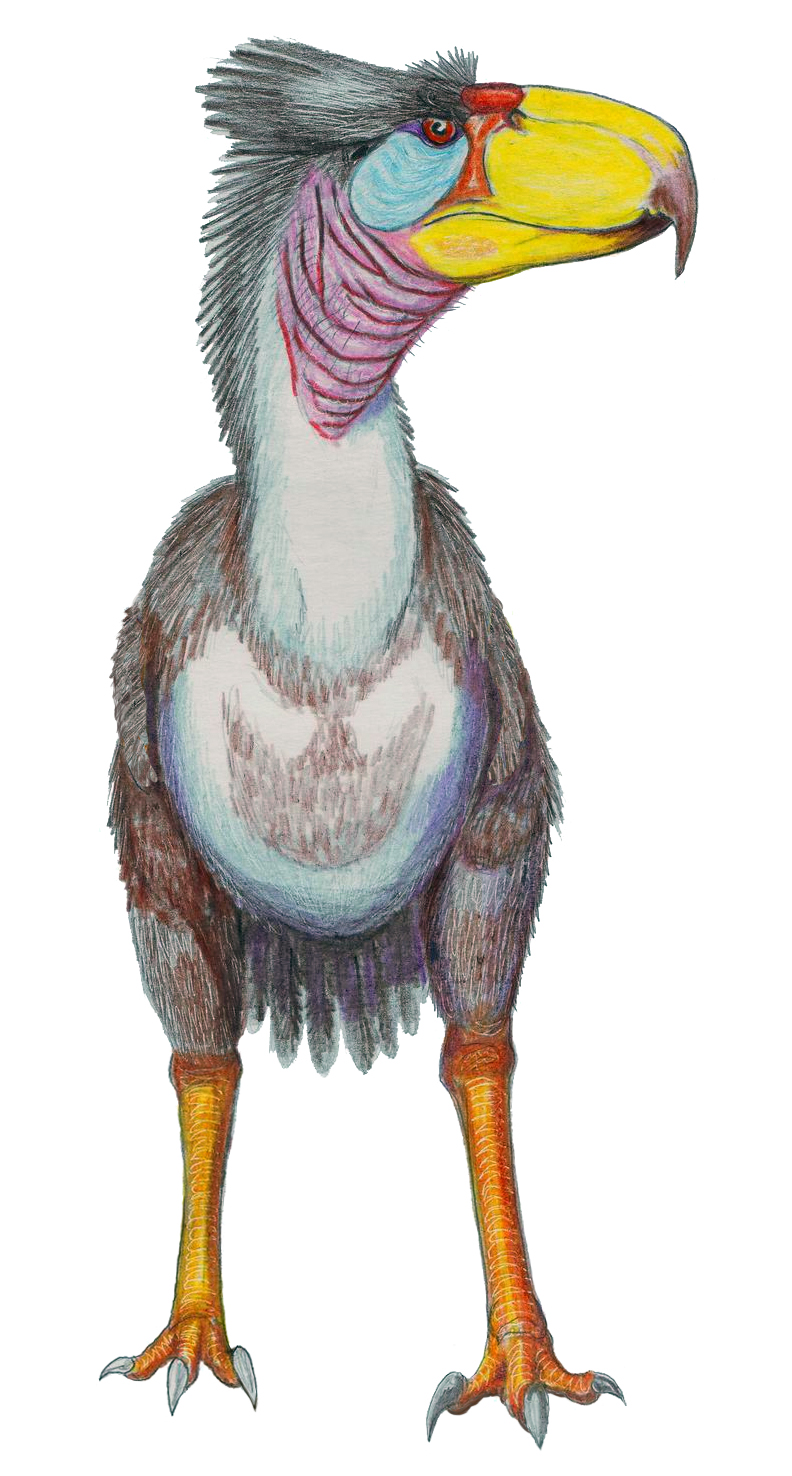 Titanis Walleri - The Terror Bird That Crossed Continents (Image Credits: Wikimedia)