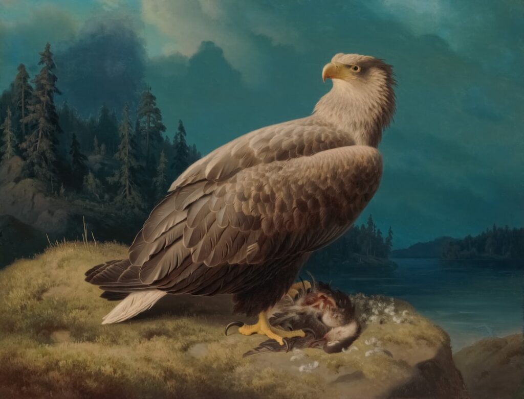 10 Prehistoric Birds That Were Real-Life Monsters