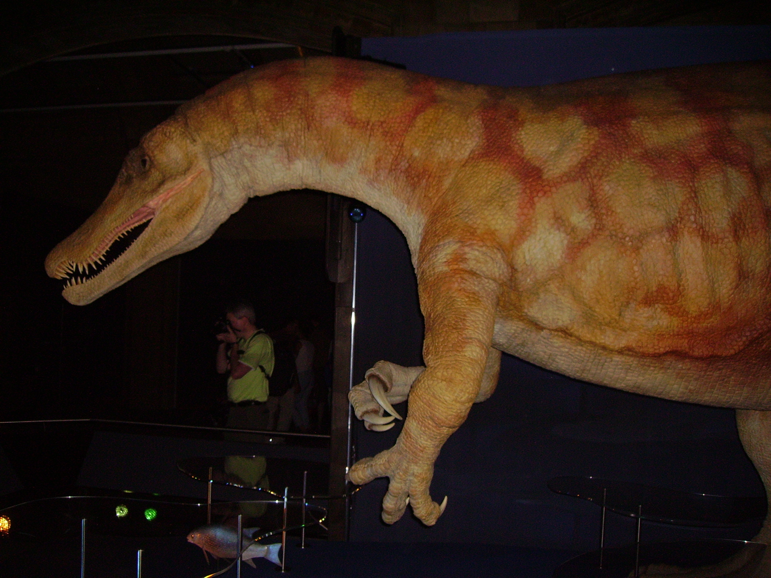 Baryonyx - The Fish-Hooking Hunter (Image Credits: Wikimedia)