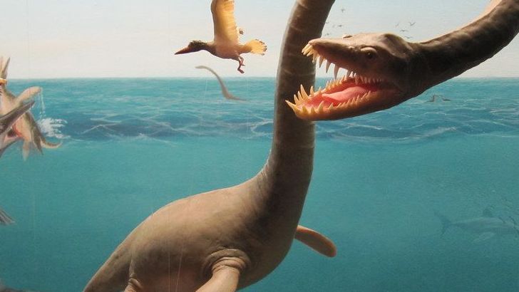 5 Dinosaurs That Could Swim