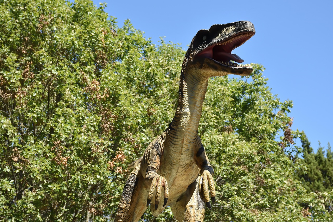 Velociraptors Were Turkey-Sized, Not Human-Sized (Image Credits: Pixabay)