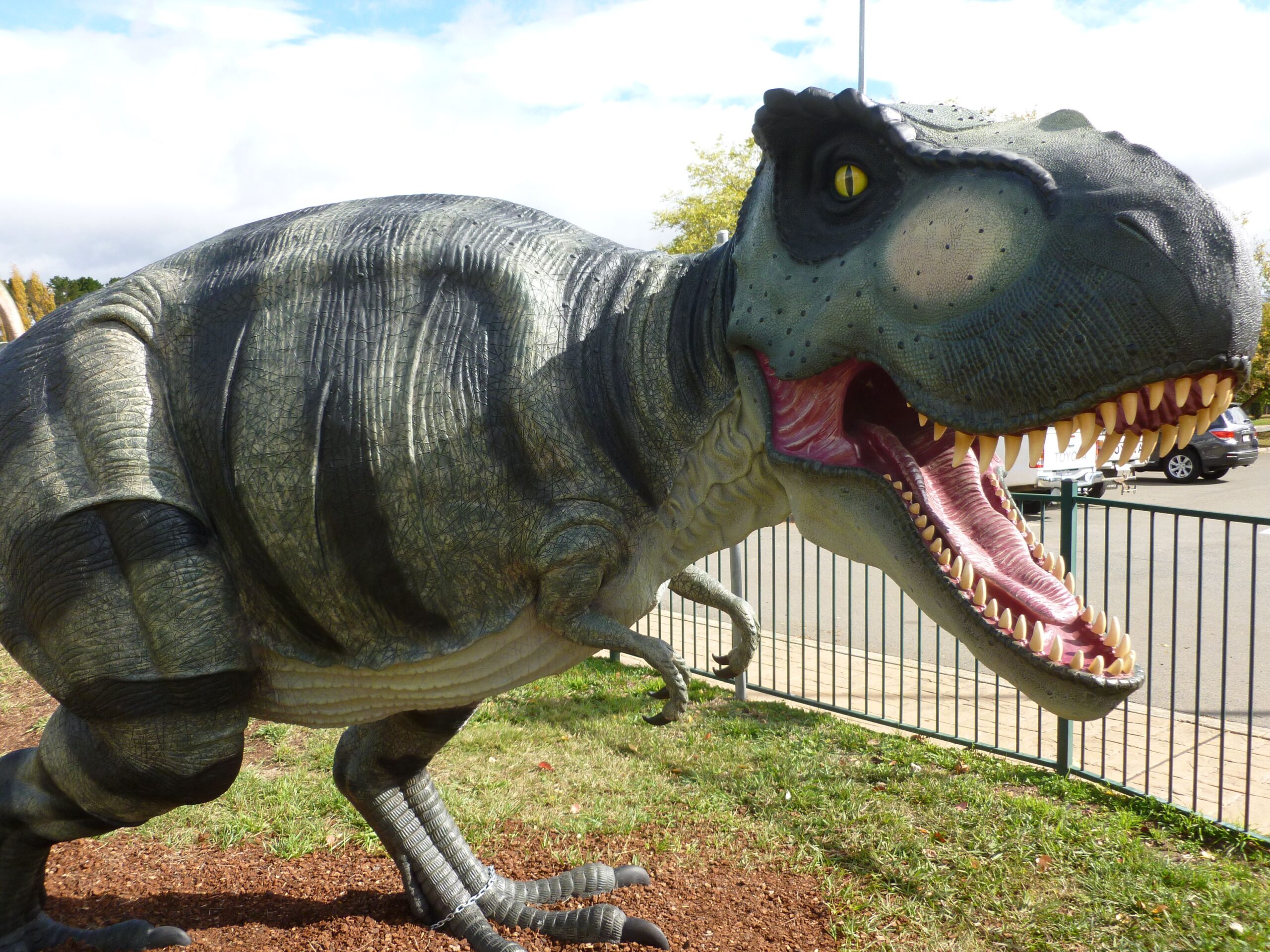 Dinosaur Hand Positions Were All Wrong (Image Credits: Wikimedia)
