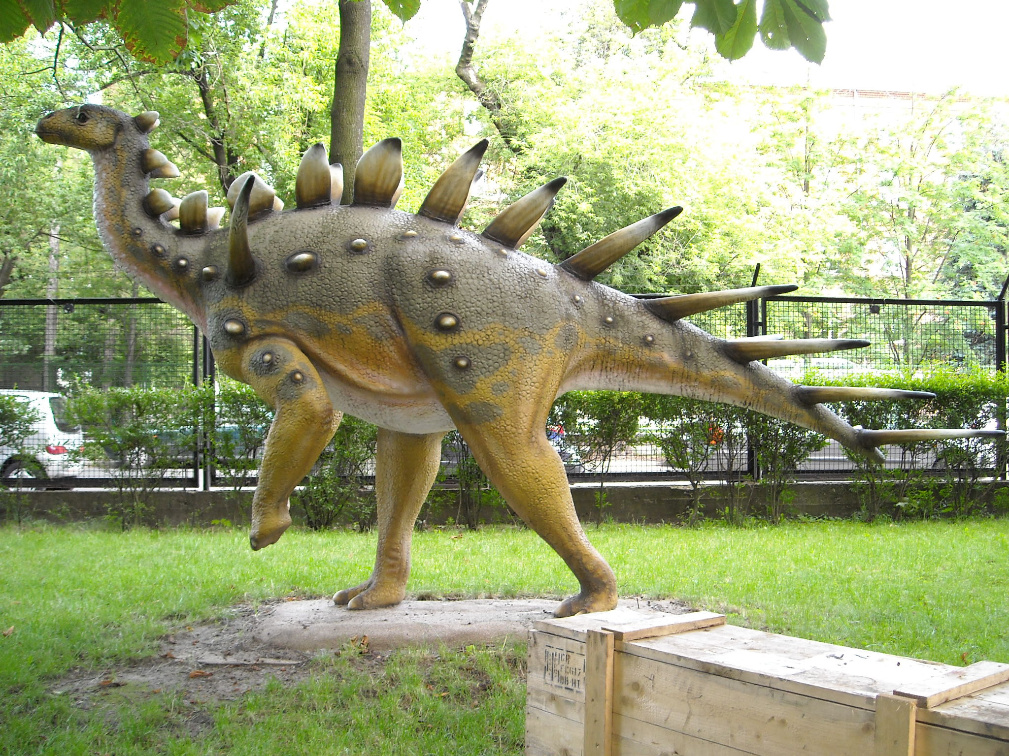 Kentrosaurus: Africa's Spiky Defender (Image Credits: Wikimedia)
