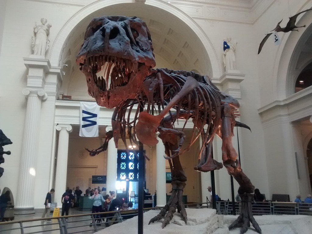Museums as Gateways to Prehistoric Wonder (Image Credits: Flickr)