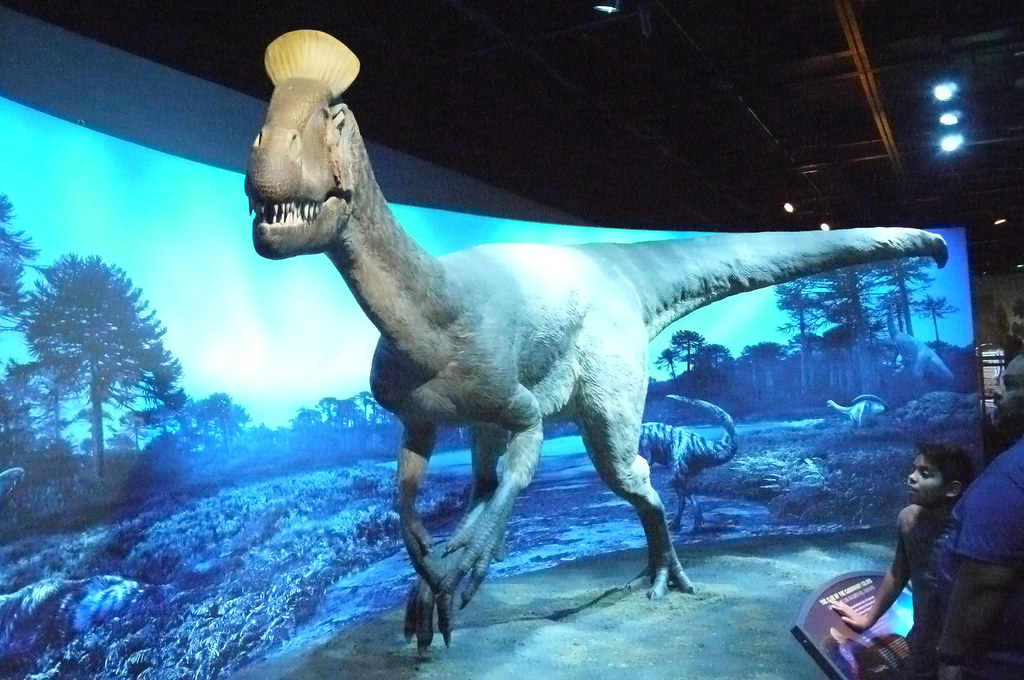 Cryolophosaurus: The Antarctic Elvis (Image Credits: Flickr)