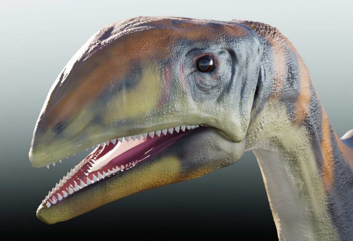 Issi Saaneq: The Greenland Giant (Image Credits: Wikimedia)