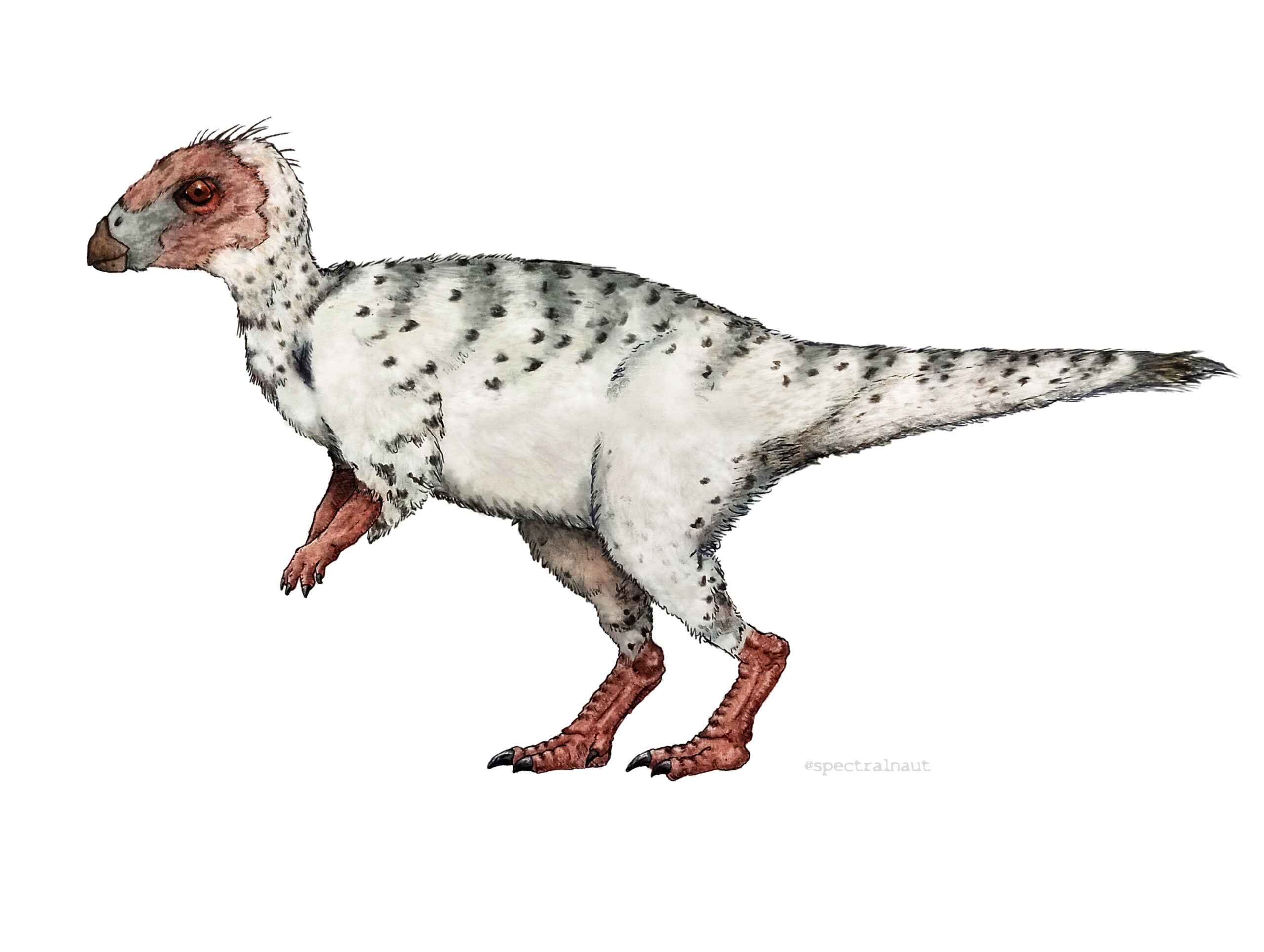 Trinisaura: The Three Sisters Lizard (Image Credits: Wikimedia)