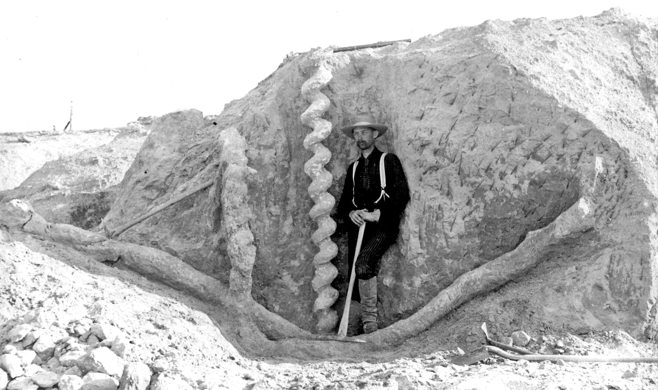 The Mystery of the Montana Burrow (Image Credits: Wikimedia)