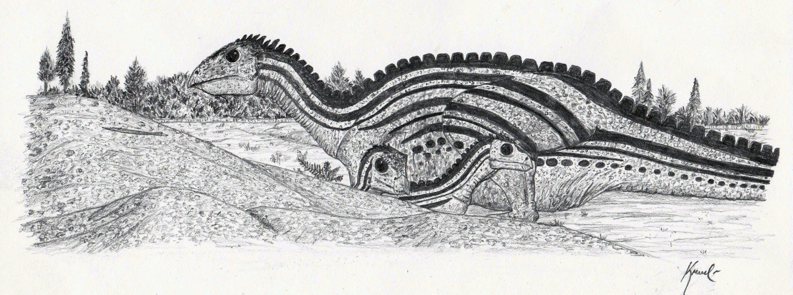 Built for Burrowing (Image Credits: Wikimedia)