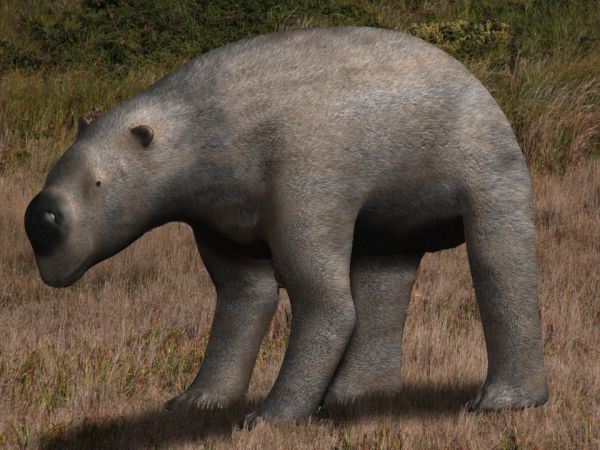 Diprotodon - The SUV-Sized Wombat That Migrated Across Australia (Image Credits: Wikimedia)