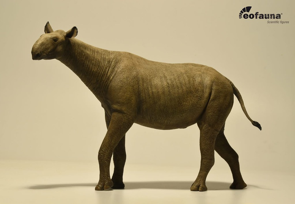 Paraceratherium - The Hornless Rhino Taller Than a Giraffe (Image Credits: Flickr)