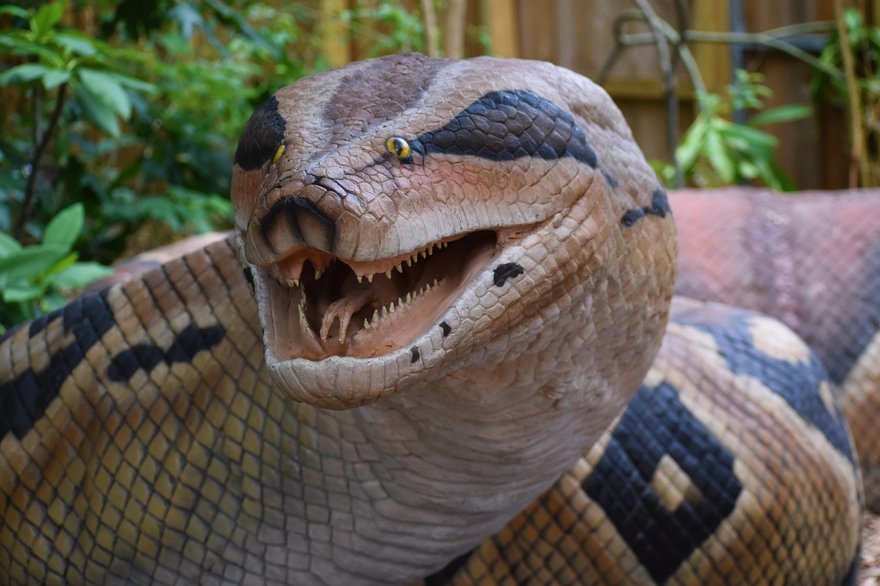 Titanoboa - The Snake That Could Swallow a Crocodile Whole (Image Credits: Pixabay)