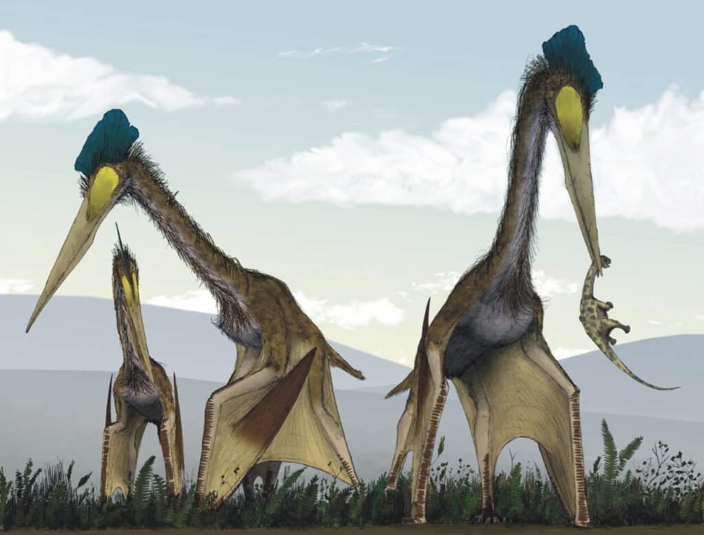 6 Prehistoric Giants That Weren't Dinosaurs
