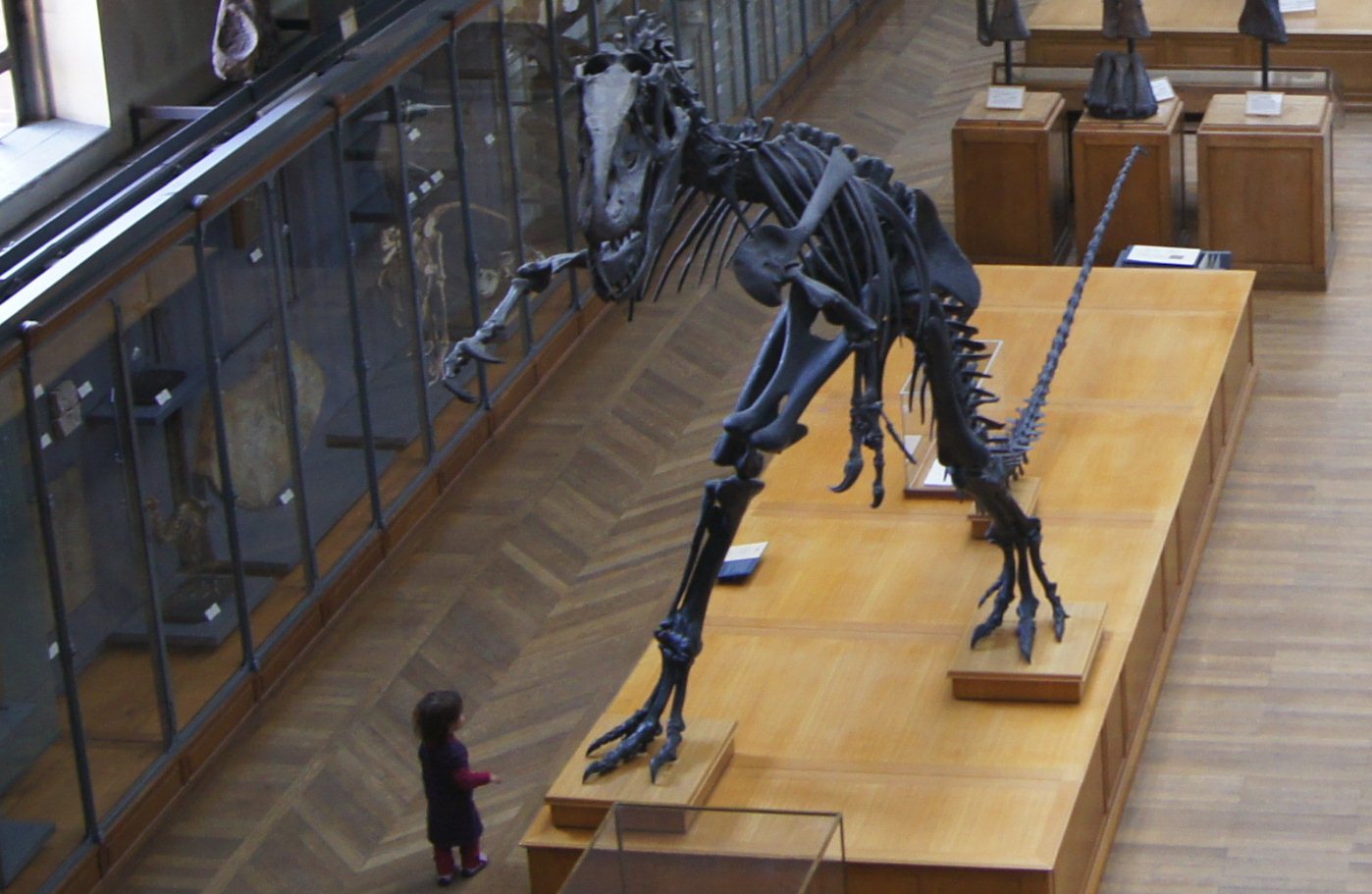 Modern Connections to Ancient Innovations (Image Credits: Wikimedia)