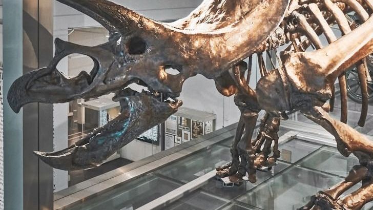 The Dinosaur With a Built-In Air Conditioner