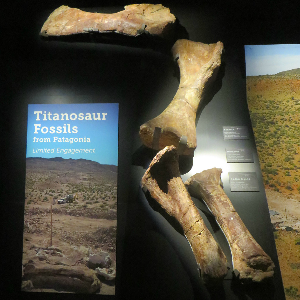 The Ongoing Mystery (Image Credits: Flickr)