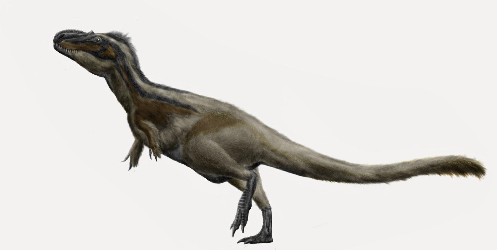 Thescelosaurus - The Underground Sniffer (Image Credits: Wikimedia)