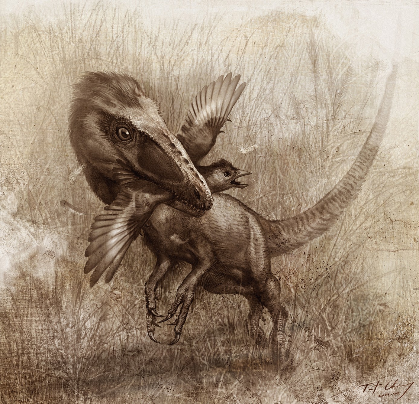 Sinocalliopteryx gigas: The Feathered Bird Hunter (Image Credits: Wikimedia)