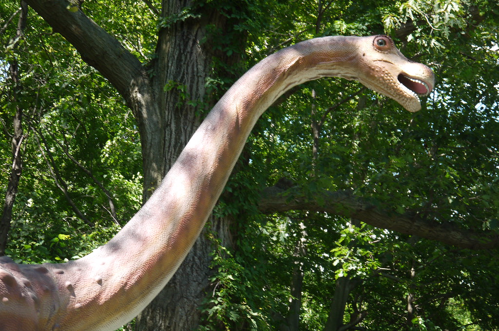 Morrison Formation Sauropod: The Mysterious Late Jurassic Giant (Image Credits: Flickr)