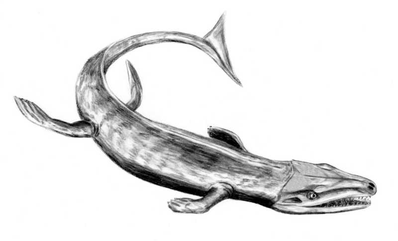 Dakosaurus - The Crocodile That Conquered the Open Ocean (Image Credits: Wikimedia)