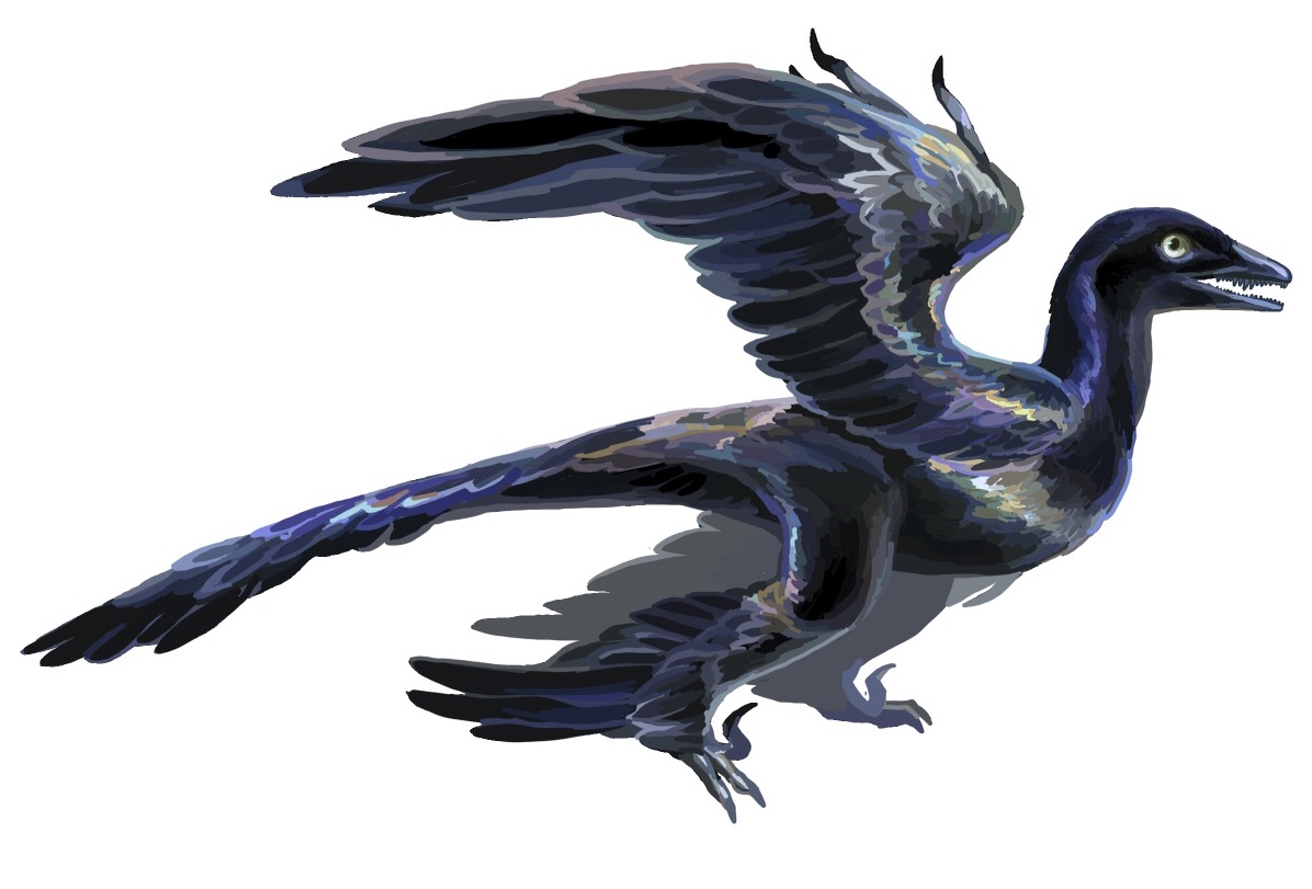 How Scientists Uncovered Its True Colors (Image Credits: Wikimedia)