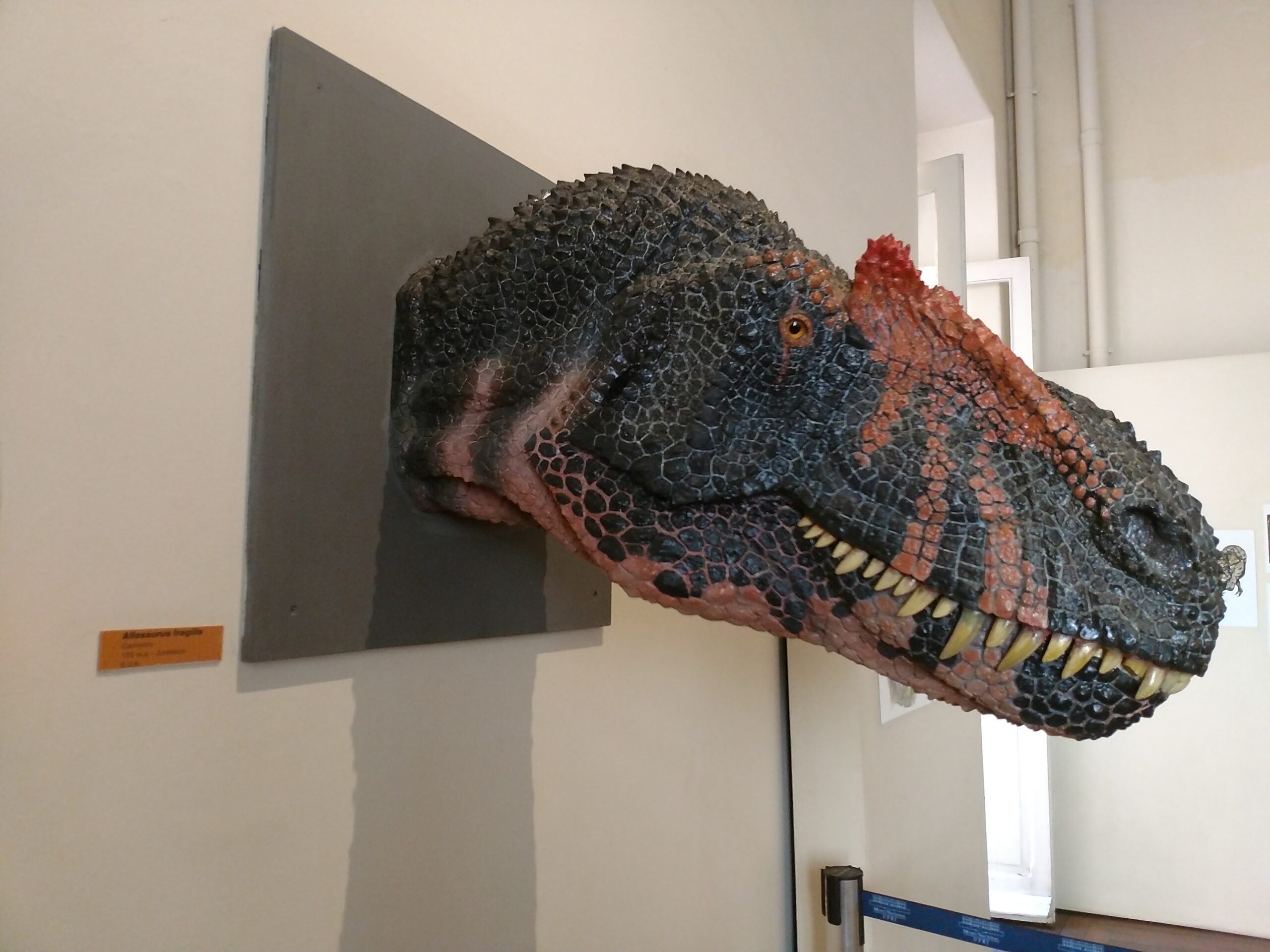 The Revolutionary Impact on Paleontology (Image Credits: Wikimedia)