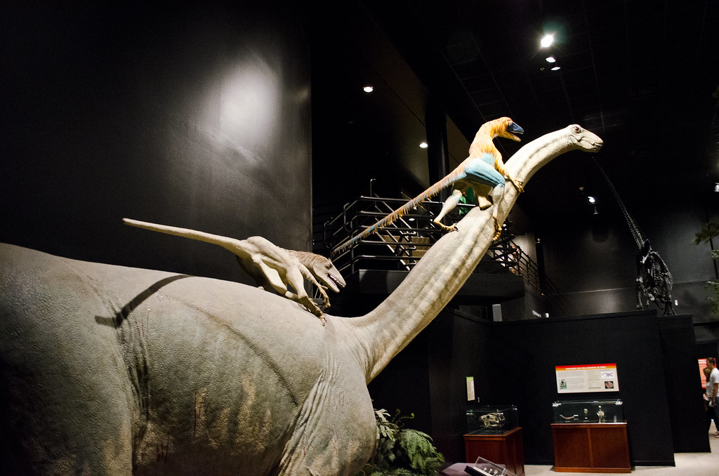 The Raptor Prey Restraint Model (Image Credits: Flickr)