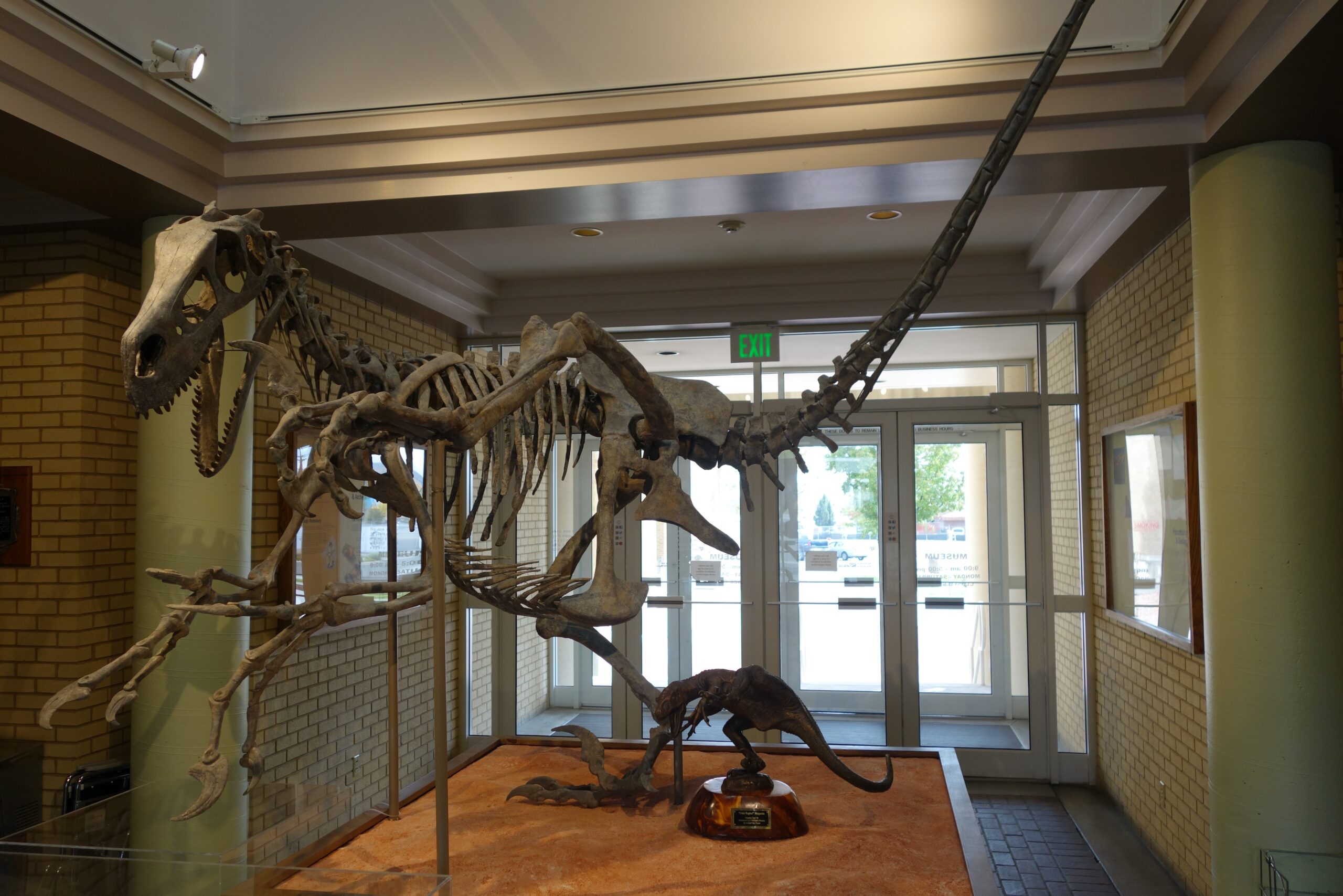 Utahraptor's Heavyweight Championship (Image Credits: Wikimedia)