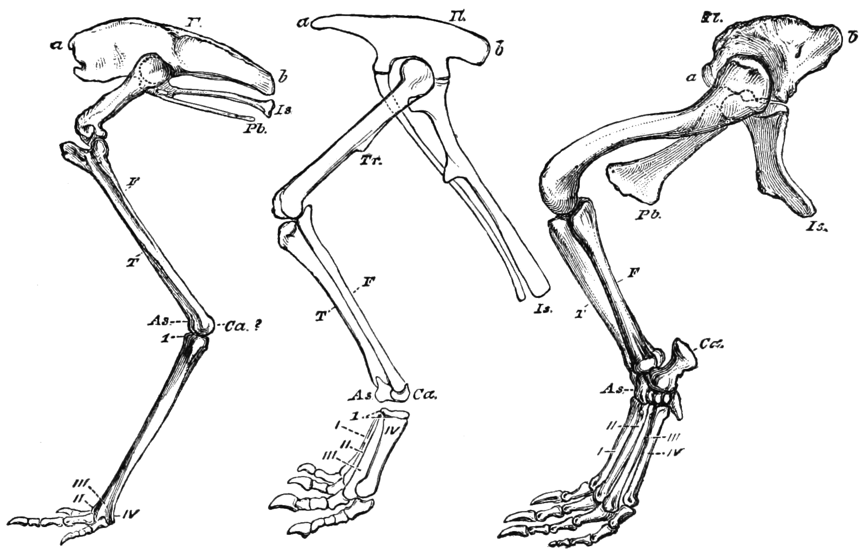The Four-Wheel Drive Theory (Image Credits: Wikimedia)