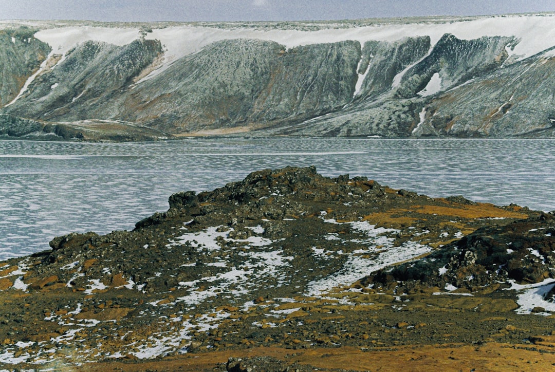 When the Arctic Was a Dinosaur Paradise (Image Credits: Unsplash)