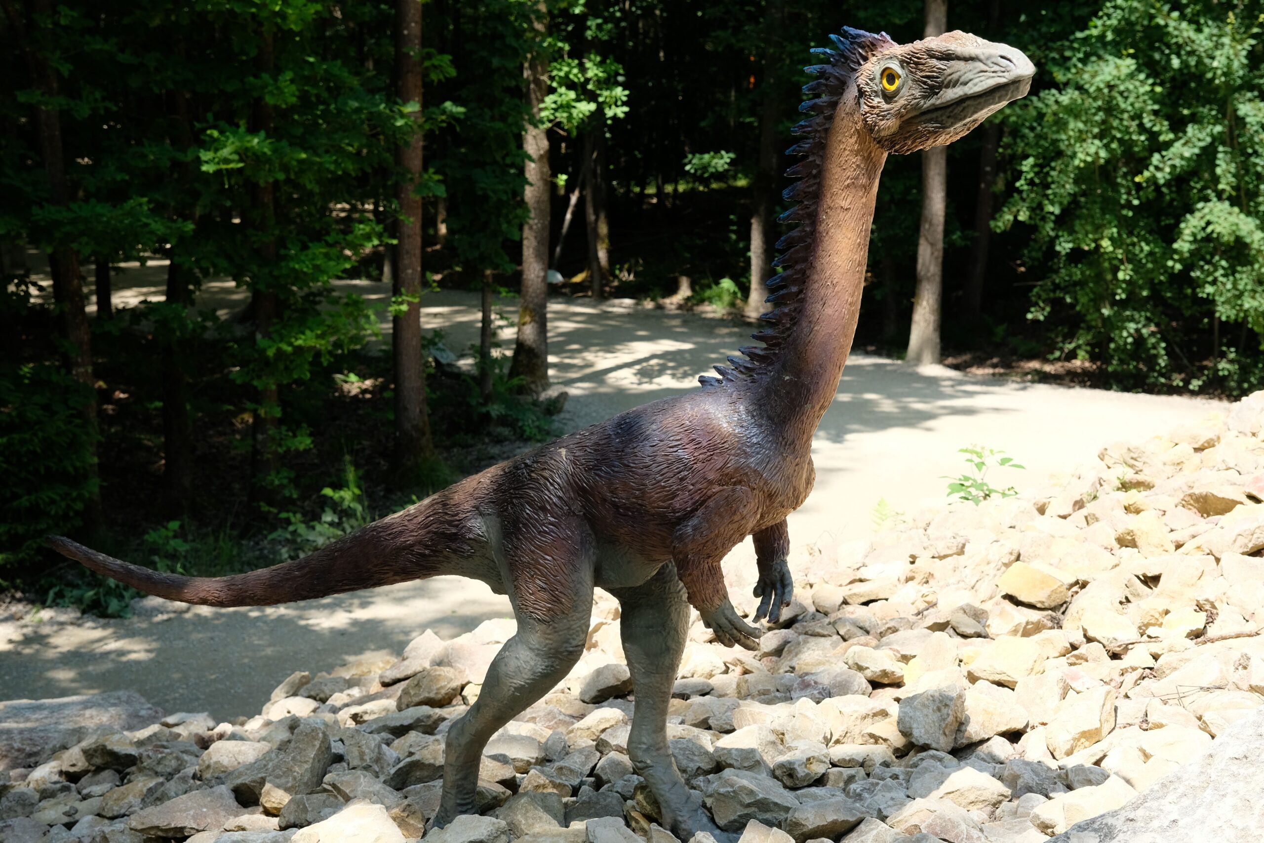 Coelophysis: The Pack Jumper (Image Credits: Wikimedia)