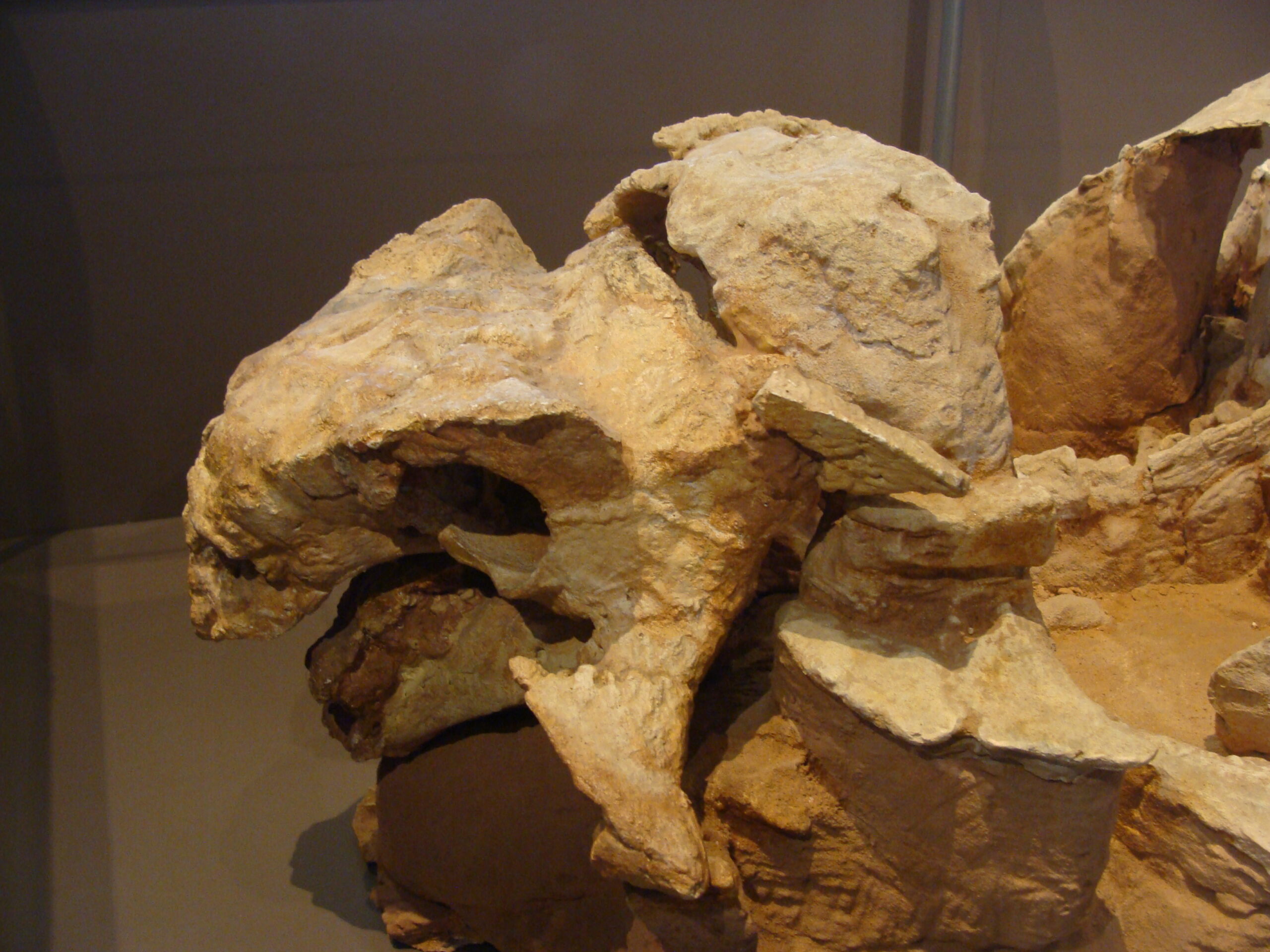 Revolutionary Fossil Evidence Changes Everything (Image Credits: Wikimedia)