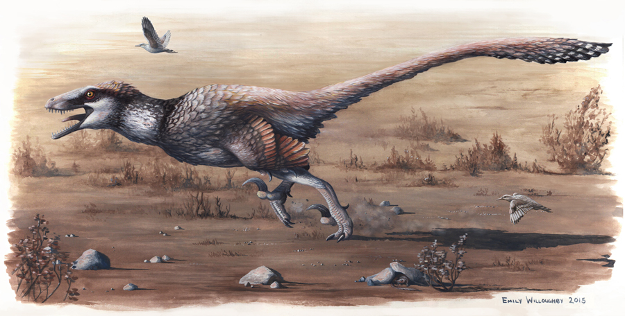The Giant Raptor with Feathers Frozen in Time (Image Credits: Wikimedia)