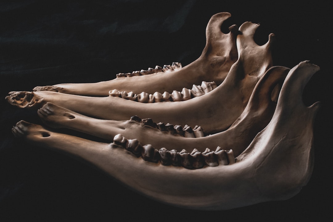 Record-Breaking Teeth for Aquatic Prey (Image Credits: Unsplash)