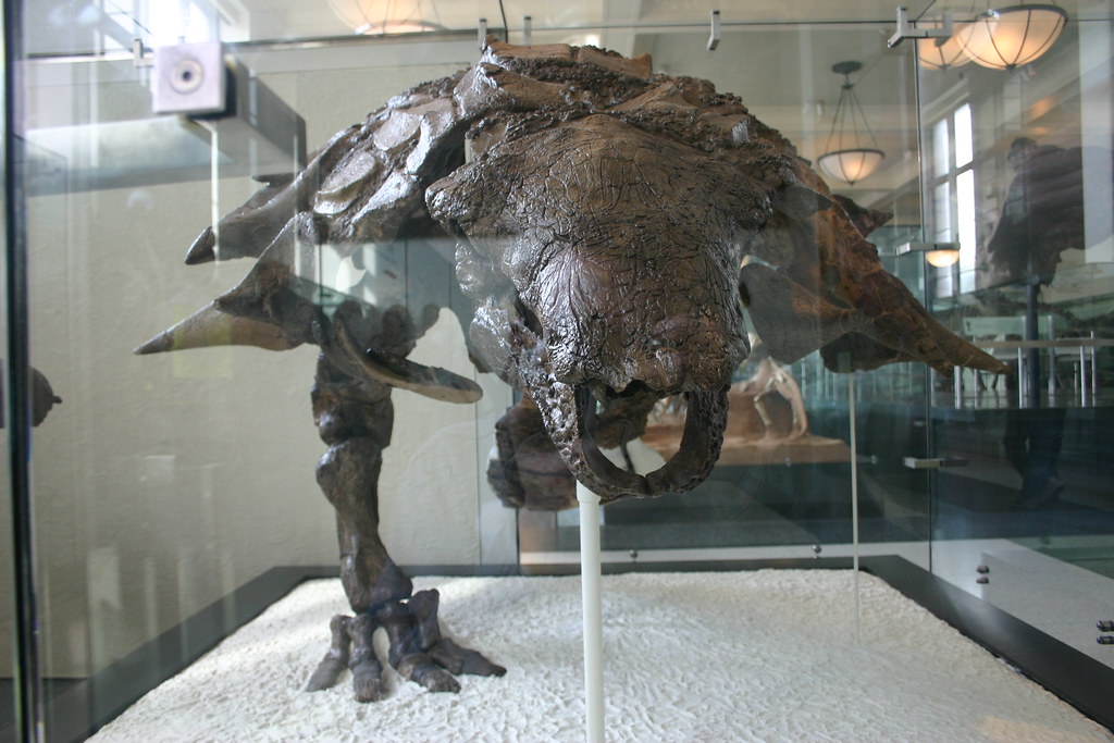 A Conclusion: Disease as Evolution's Constant Companion