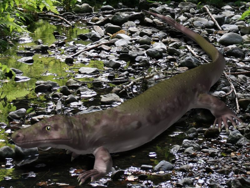 Reverse Engineering Ancient Locomotion: The Orobates Project (Image Credits: Wikimedia)