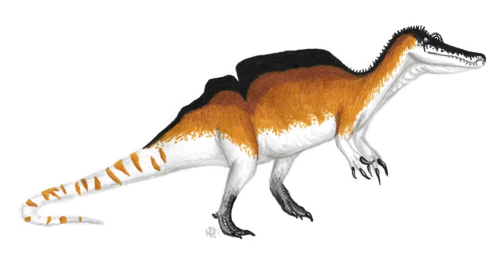 Complex Visual Systems Drove Camouflage Evolution (Image Credits: Wikimedia)