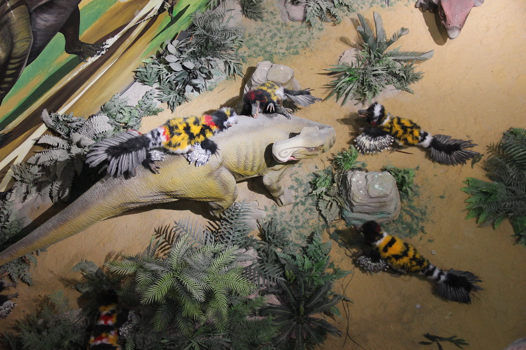 How Scientists Discovered Dinosaur Colors (Image Credits: Flickr)