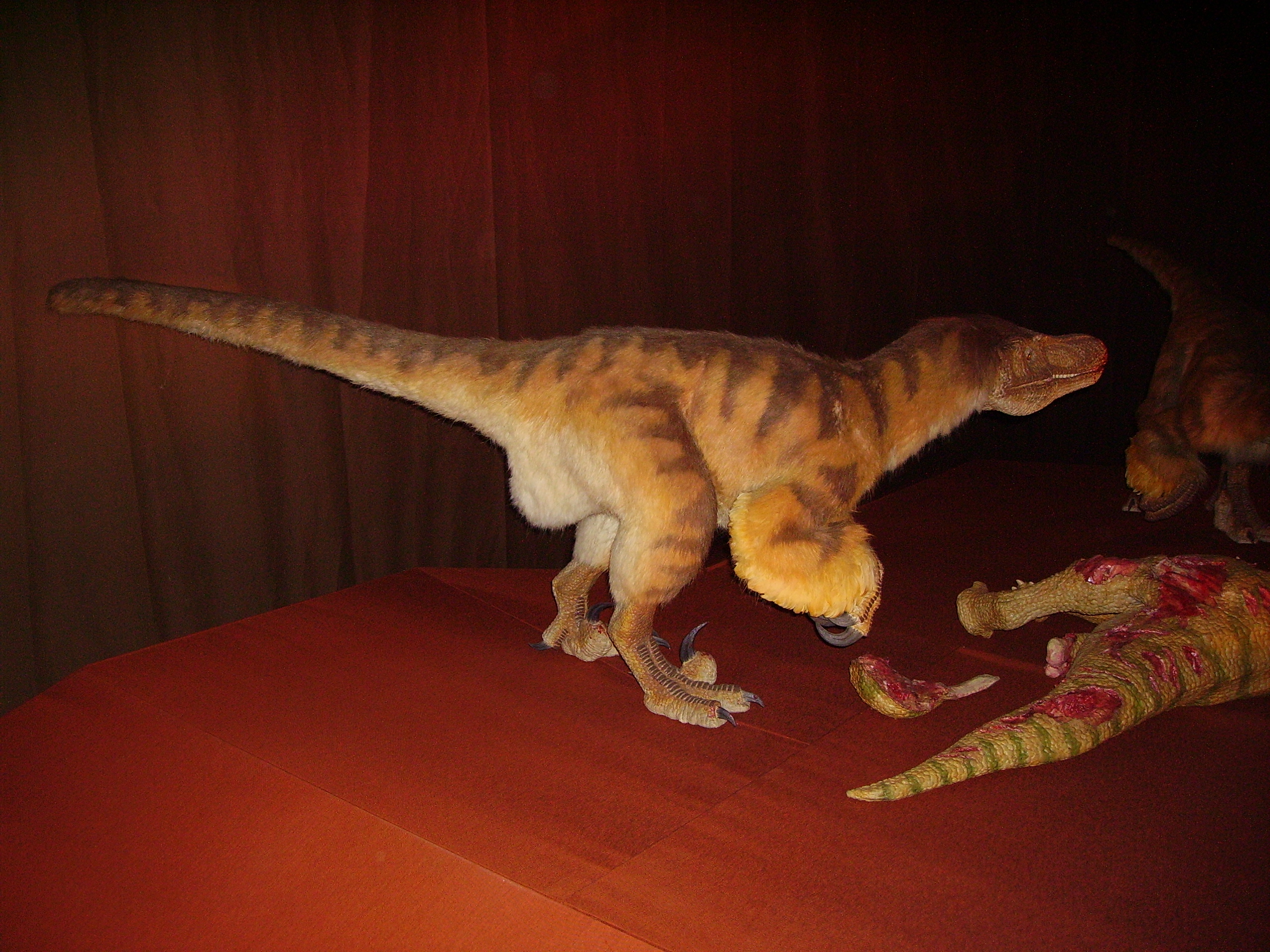 The Feathered Raptors That Hunted in Packs (Image Credits: Wikimedia)