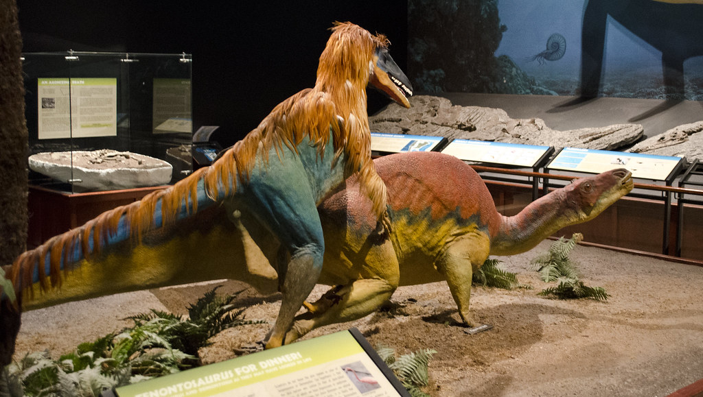 The Hidden Skin Patterns of Feathered Giants