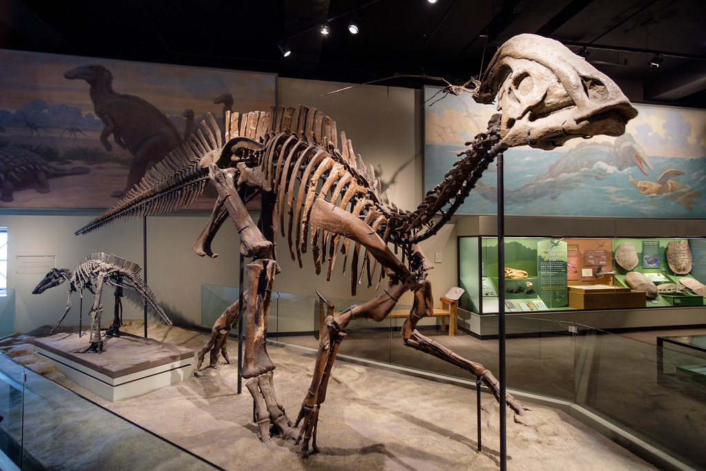 Parasaurolophus - The Near Crested Lizard (Image Credits: Flickr)