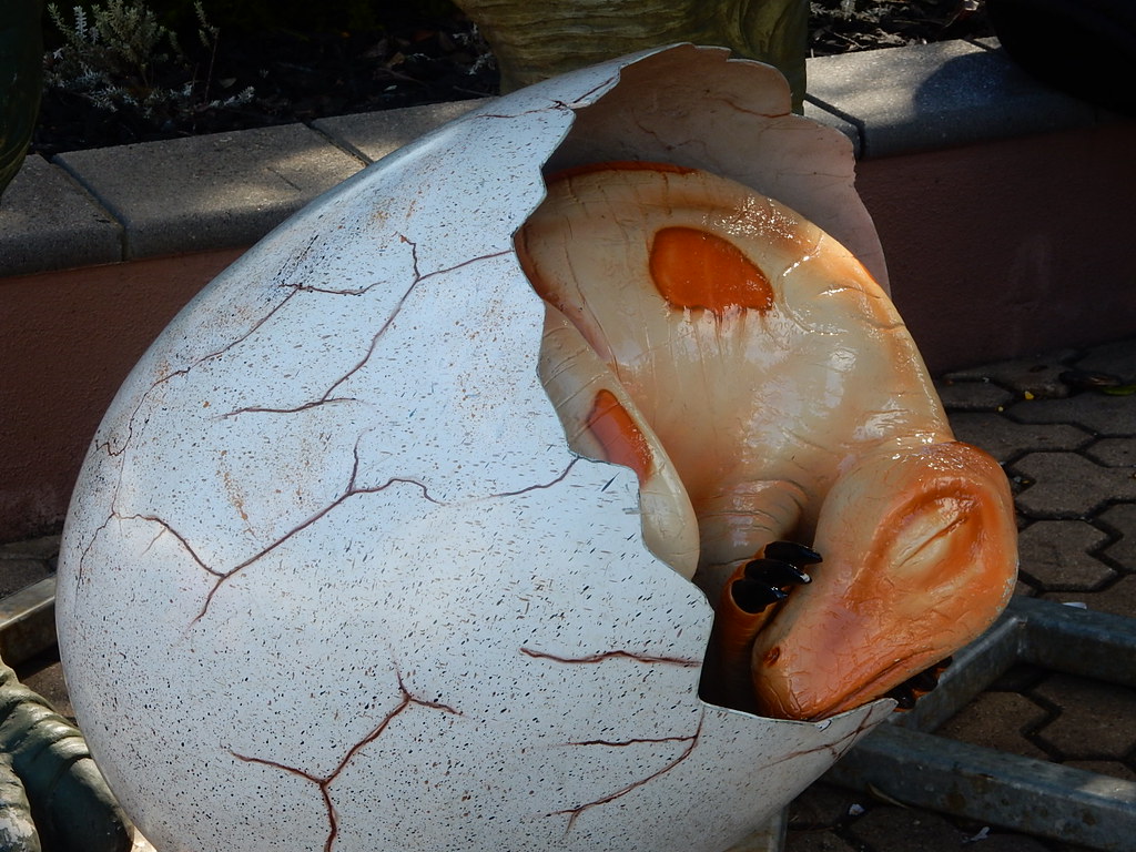 A Revolutionary Discovery in Embryonic Teeth (Image Credits: Flickr)