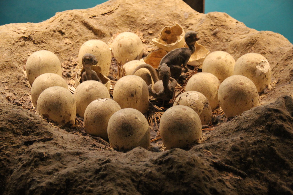 Conclusion: Rewriting Dinosaur History (Image Credits: Flickr)