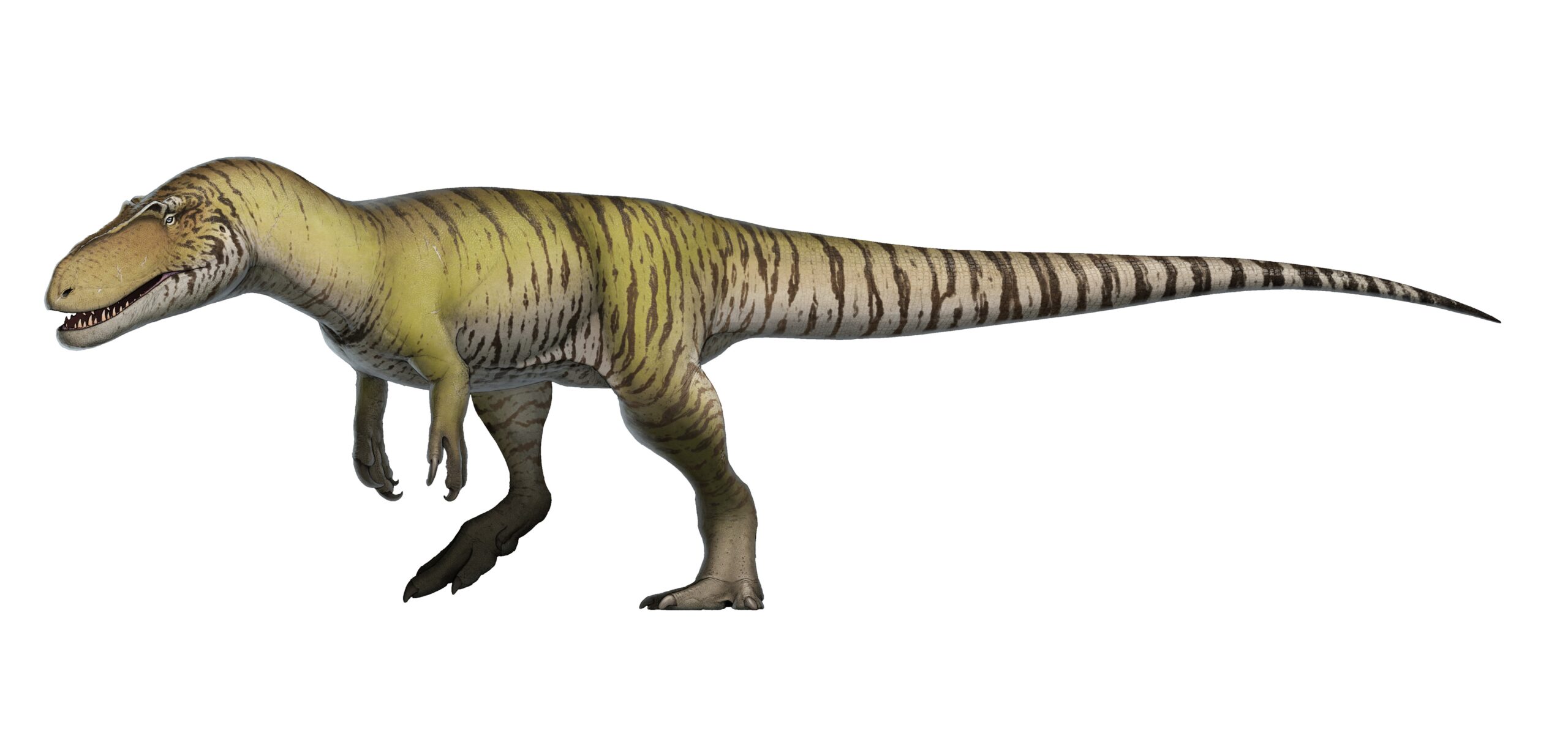 Torvosaurus - The Jurassic Powerhouse (Image Credits: Wikimedia)