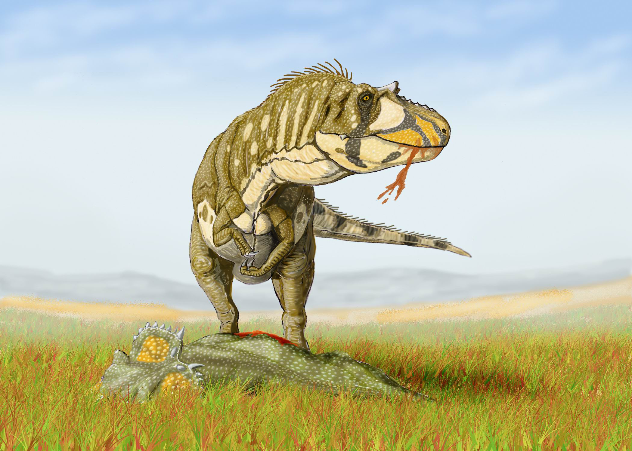 Daspletosaurus - The Frightful Tyrant (Image Credits: Wikimedia)