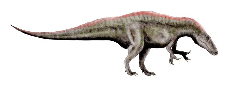 Acrocanthosaurus - The High-Spined Crusher (Image Credits: Wikimedia)